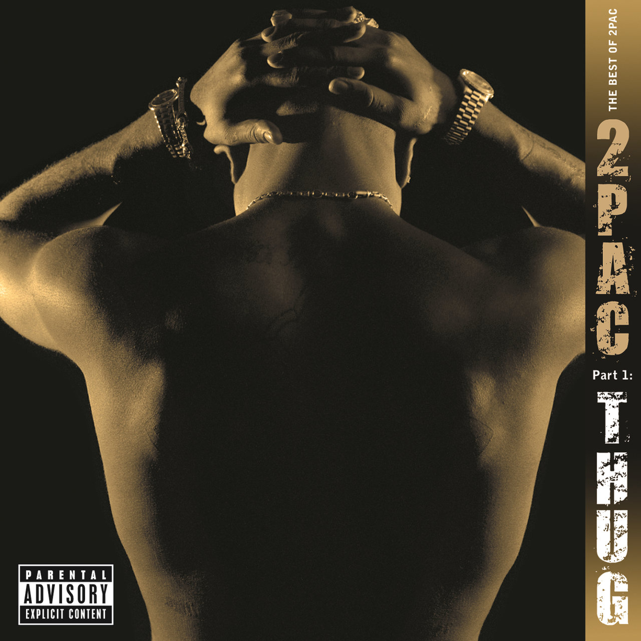 2Pac - The Best Of 2Pac Pt. 1 - Thug (Cover)