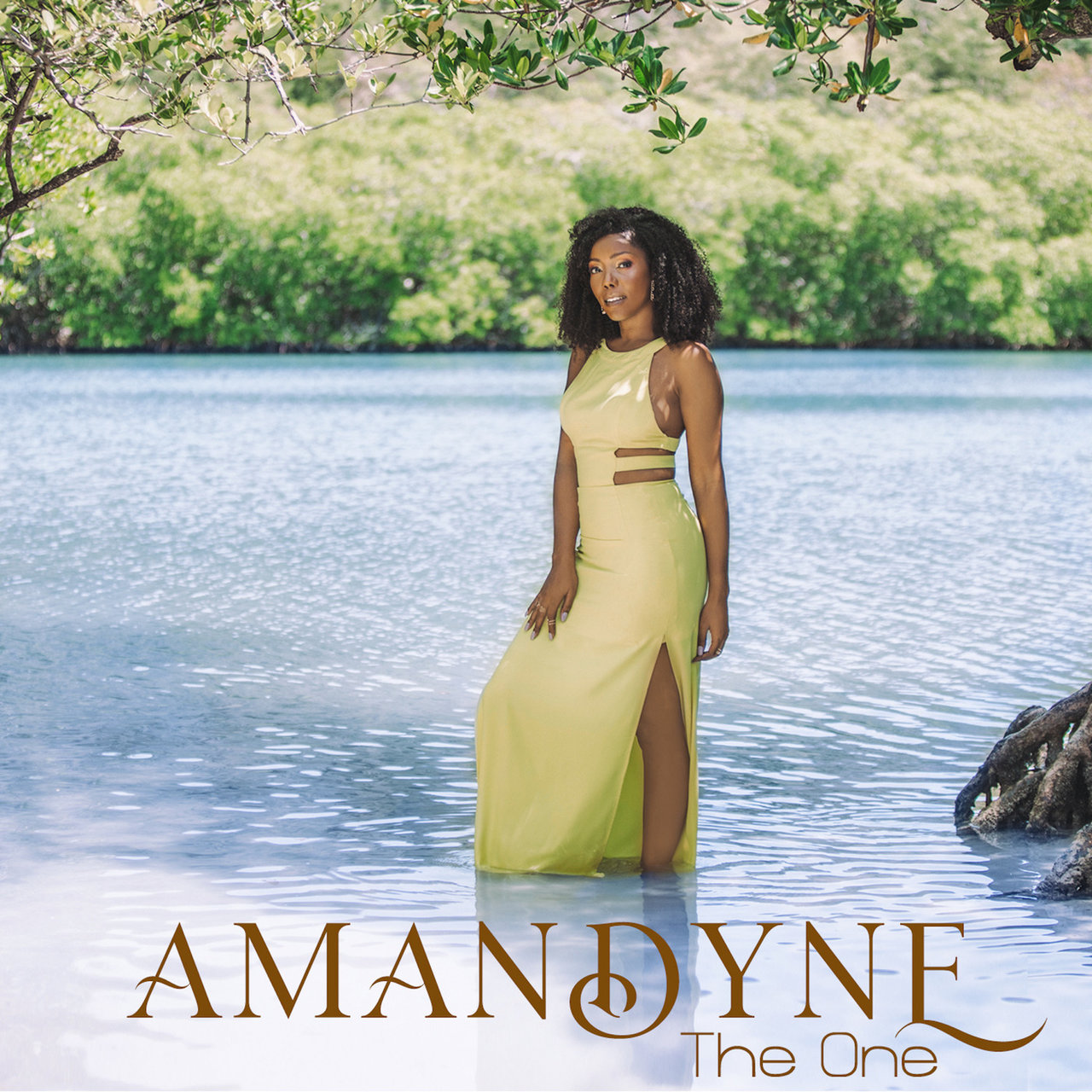 Amandyne - The One (Cover)