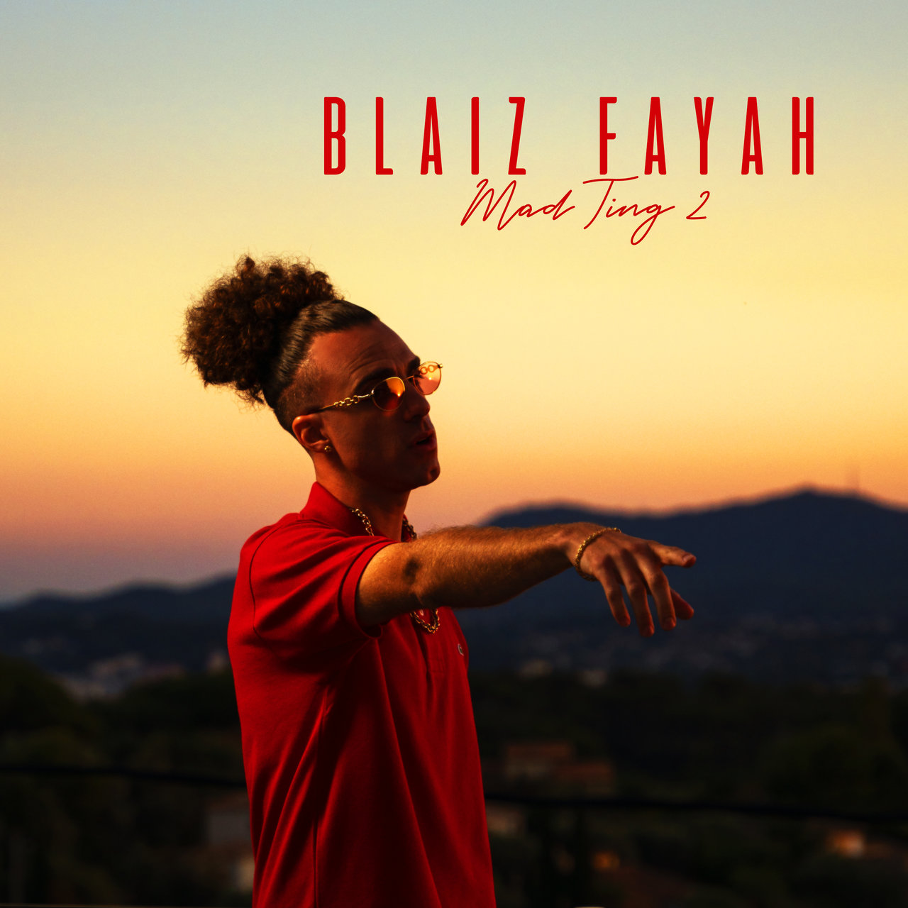 Blaiz Fayah - Mad Ting 2 (Cover)