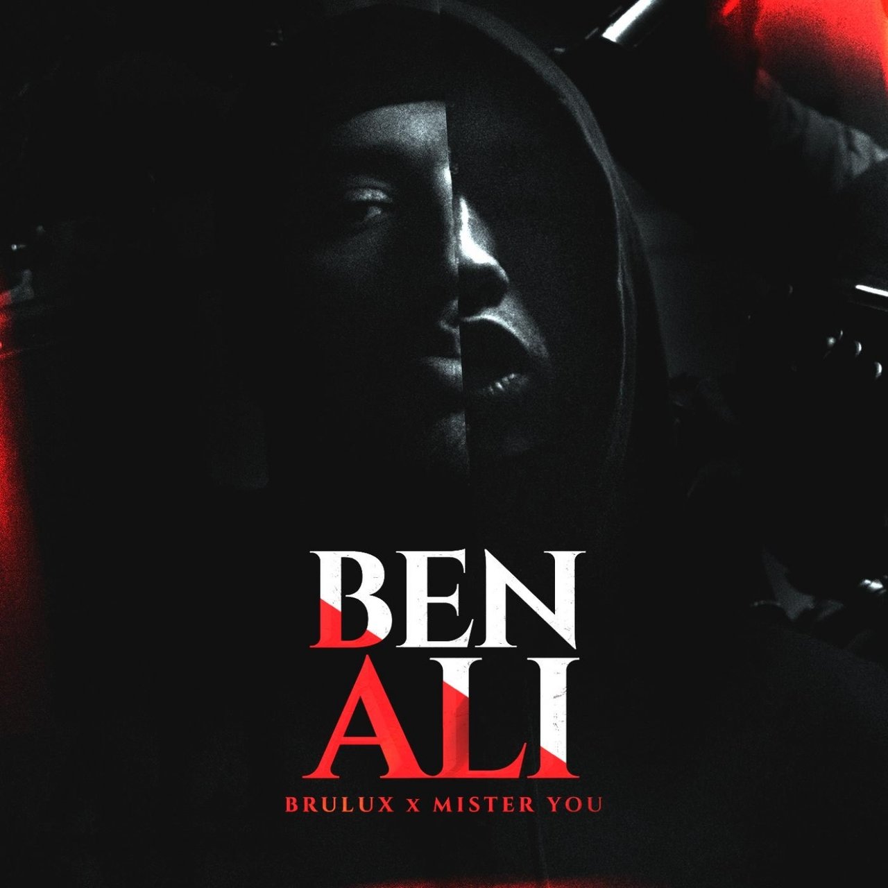 Brulux - Ben Ali (ft. Mister You) (Cover)