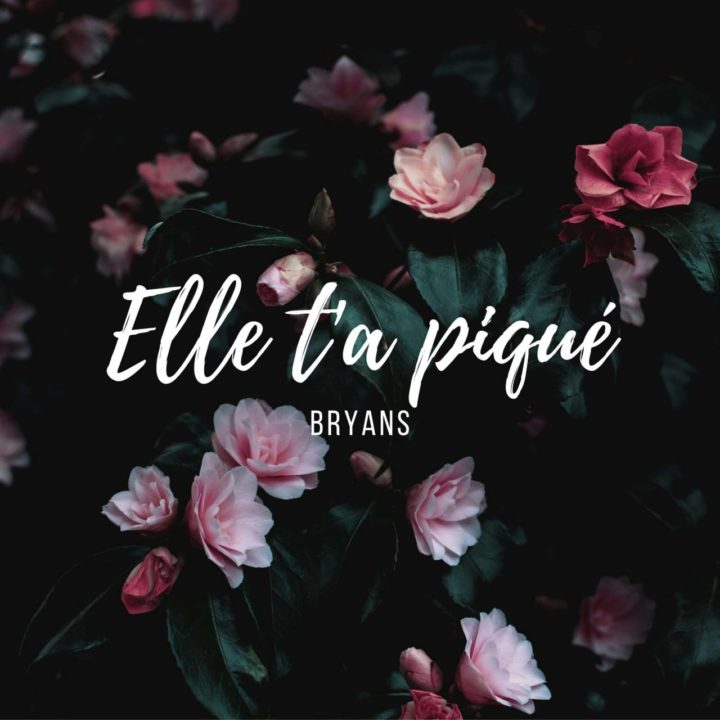 Bryans - Elle T'a Piqué (Cover)