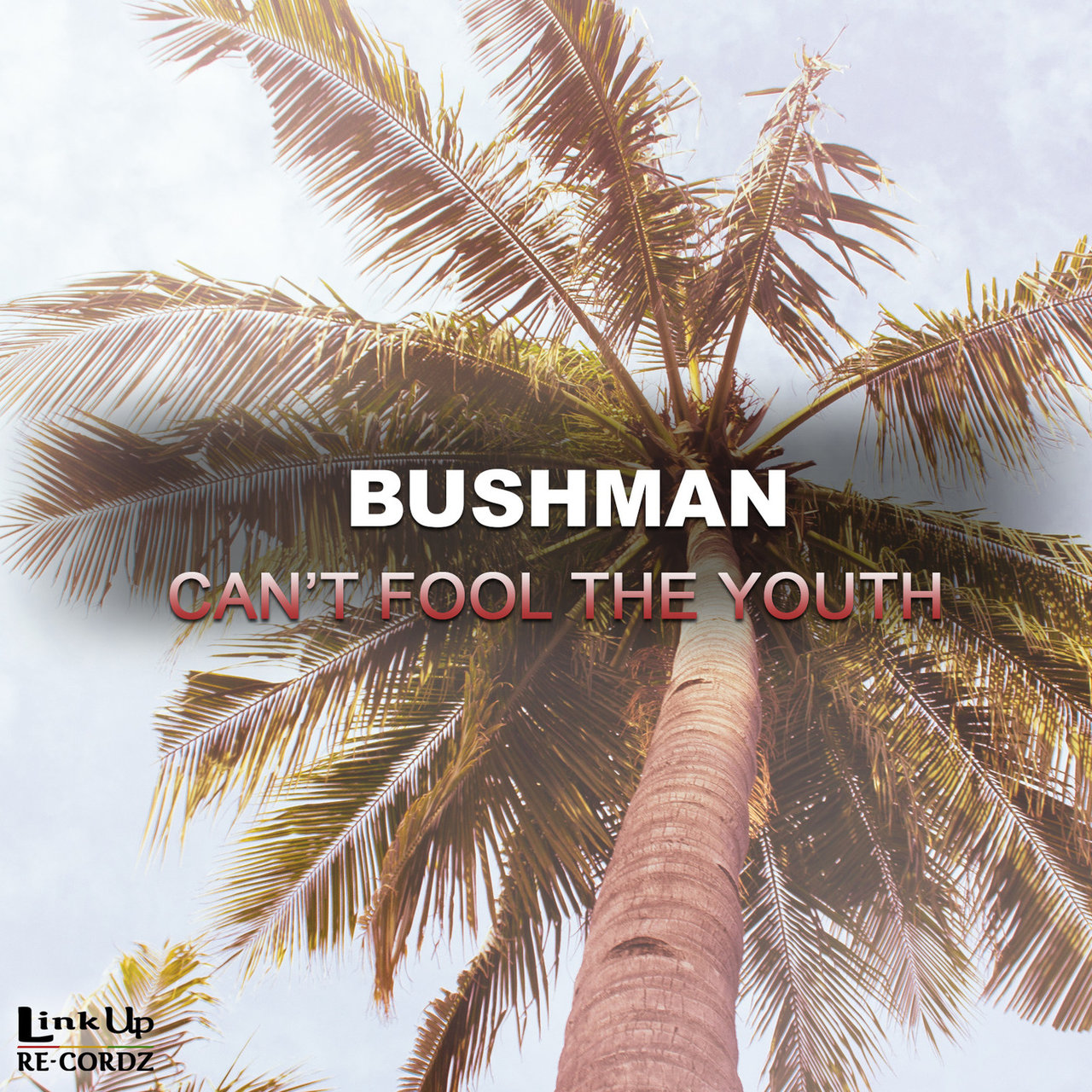 Bushman - Can't Fool The Youth (Cover)