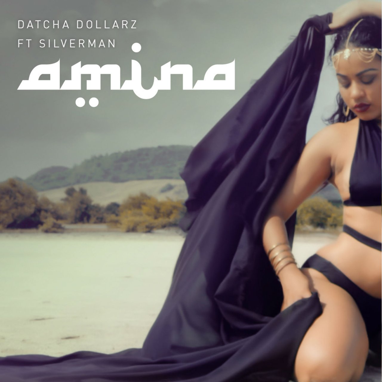 Datcha Dollar'z - Amina (ft. Silverman) (Cover)