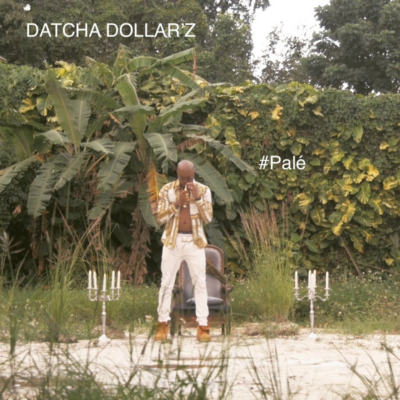 Datcha Dollar'z - Palé (Cover)