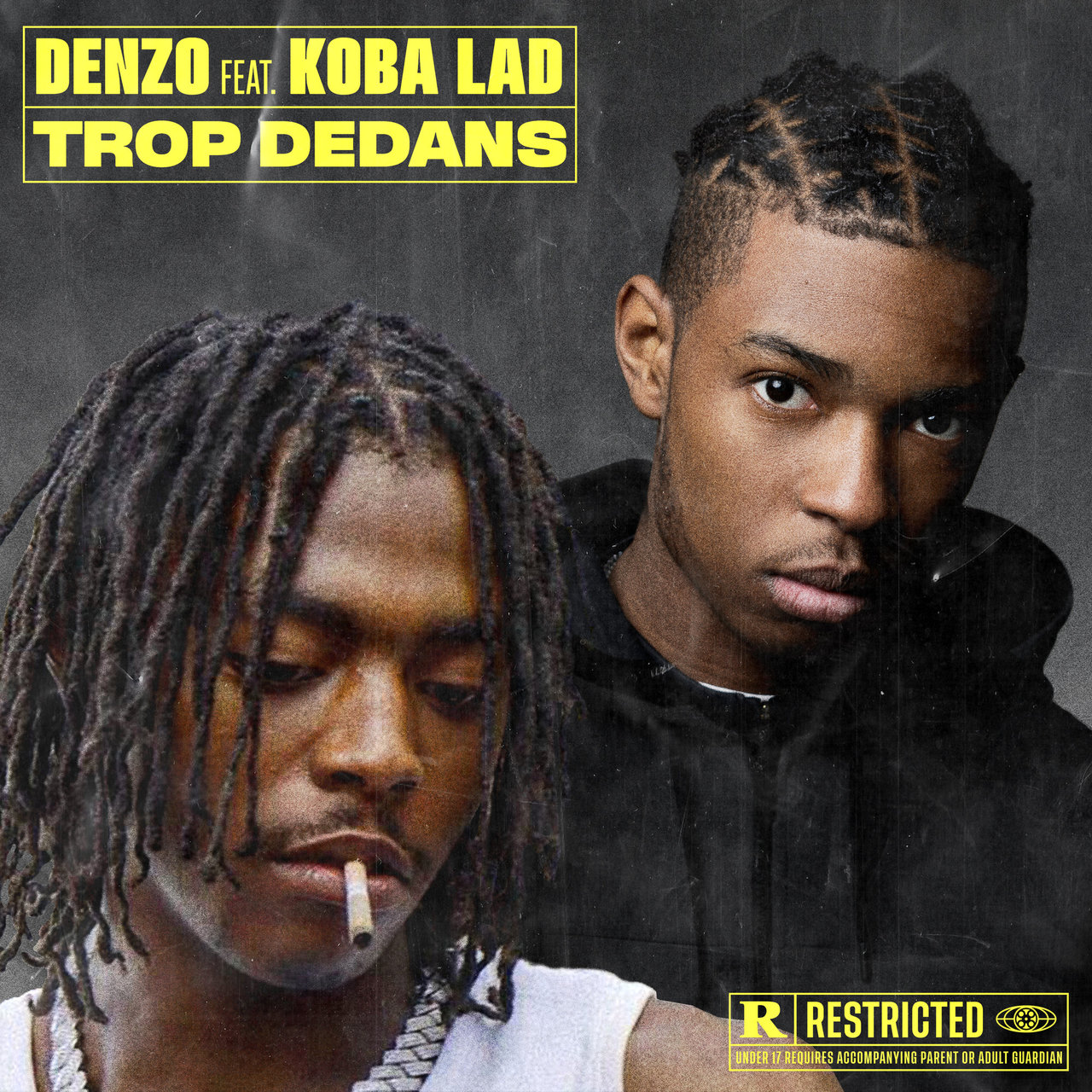 Denzo - Trop Dedans (ft. Koba LaD) (Cover)