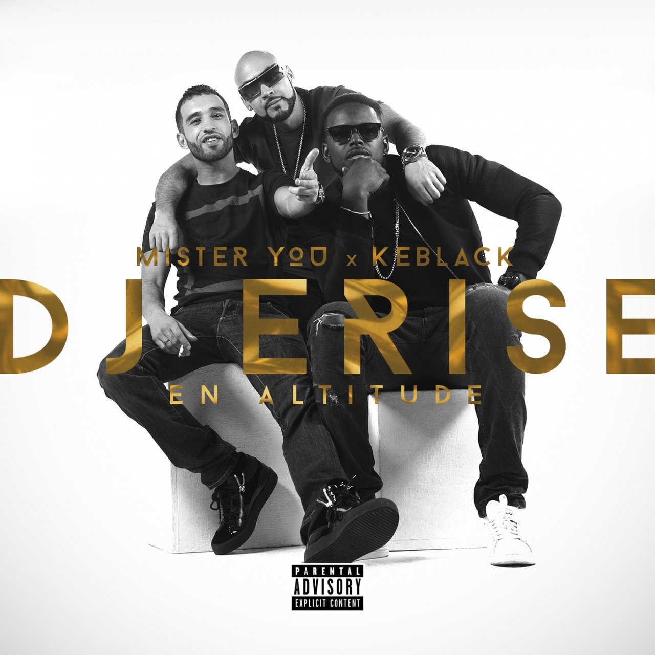 DJ Erise - En Altitude (ft. Mister You and Keblack) (Cover)