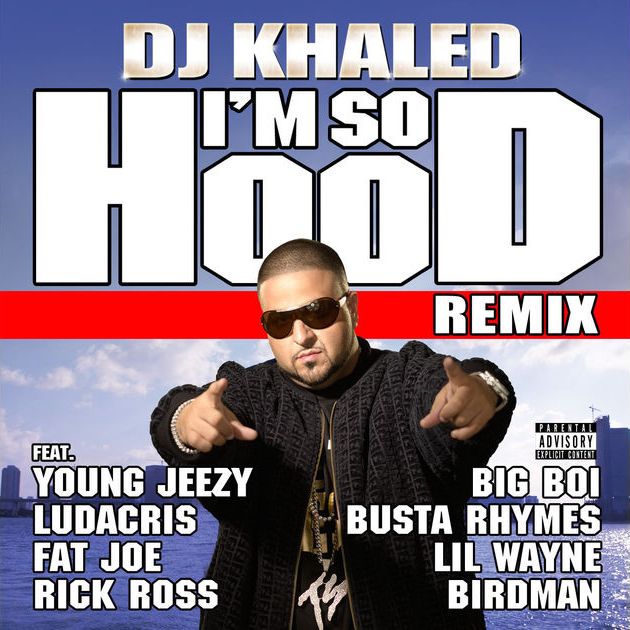DJ Khaled - I'm So Hood (Remix) (ft. Young Jeezy, Ludacris, Busta Rhymes, Big Boi, Lil Wayne, Fat Joe, Birdman and Rick Ross) (Cover)