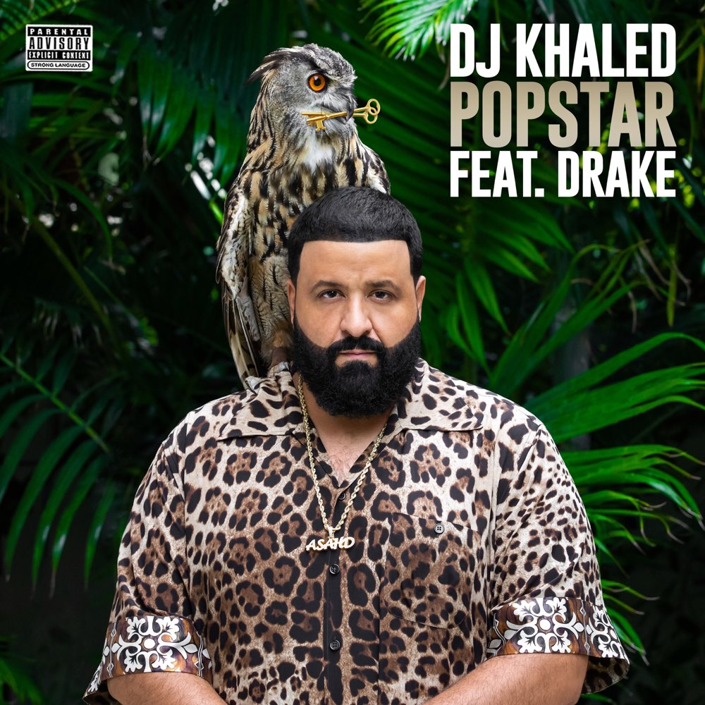 DJ Khaled - Popstar (ft. Drake) (Cover)