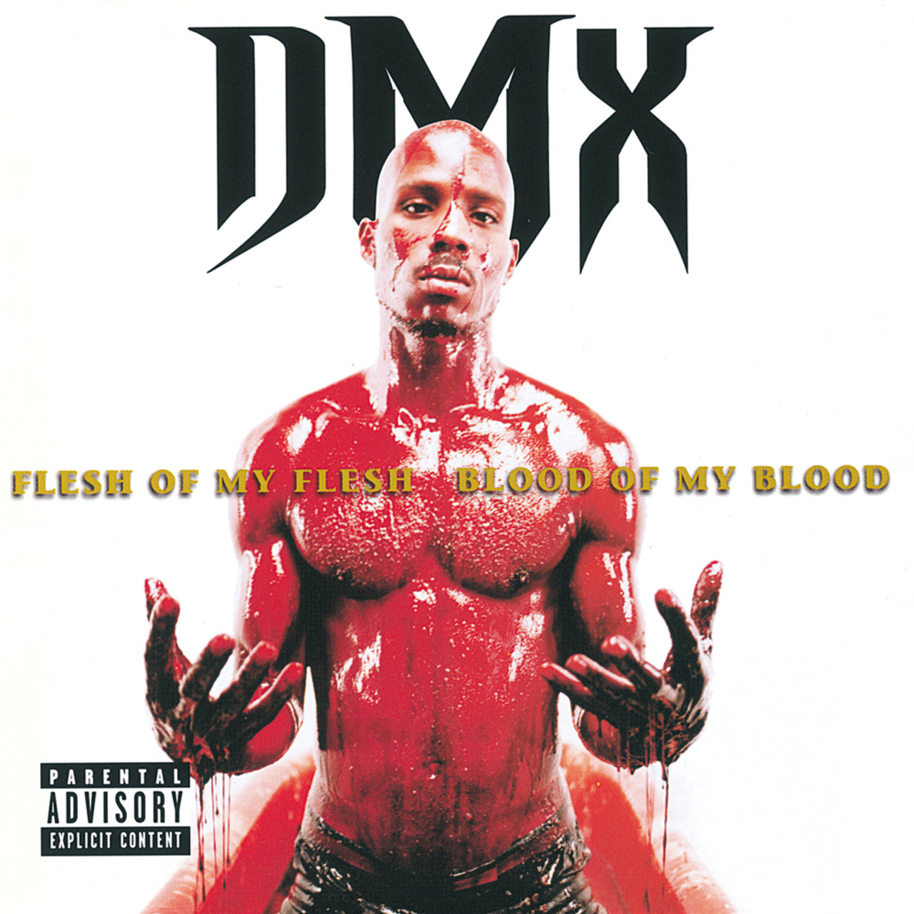 DMX - Flesh Of My Flesh, Blood Of My Blood (Cover)