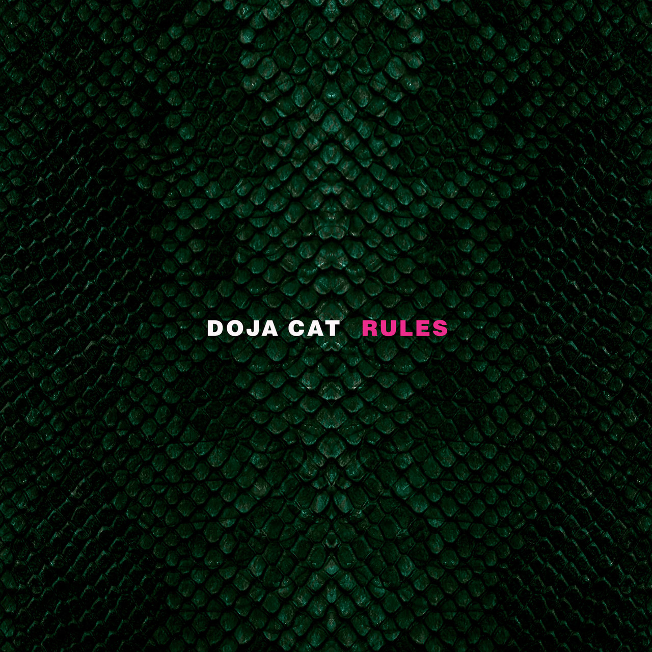 Doja Cat - Rules (Cover)