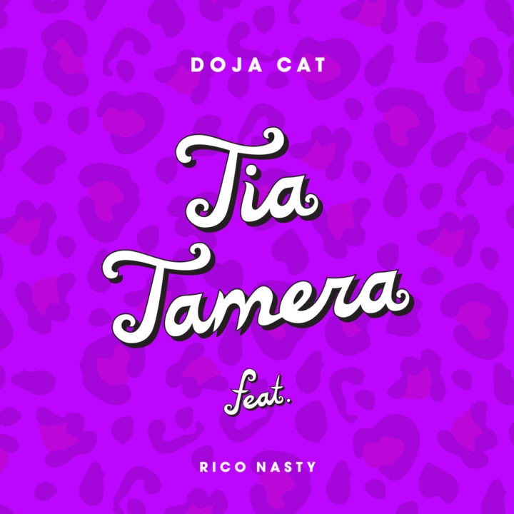 Doja Cat - Tia Tamera (ft. Rico Nasty) (Cover)