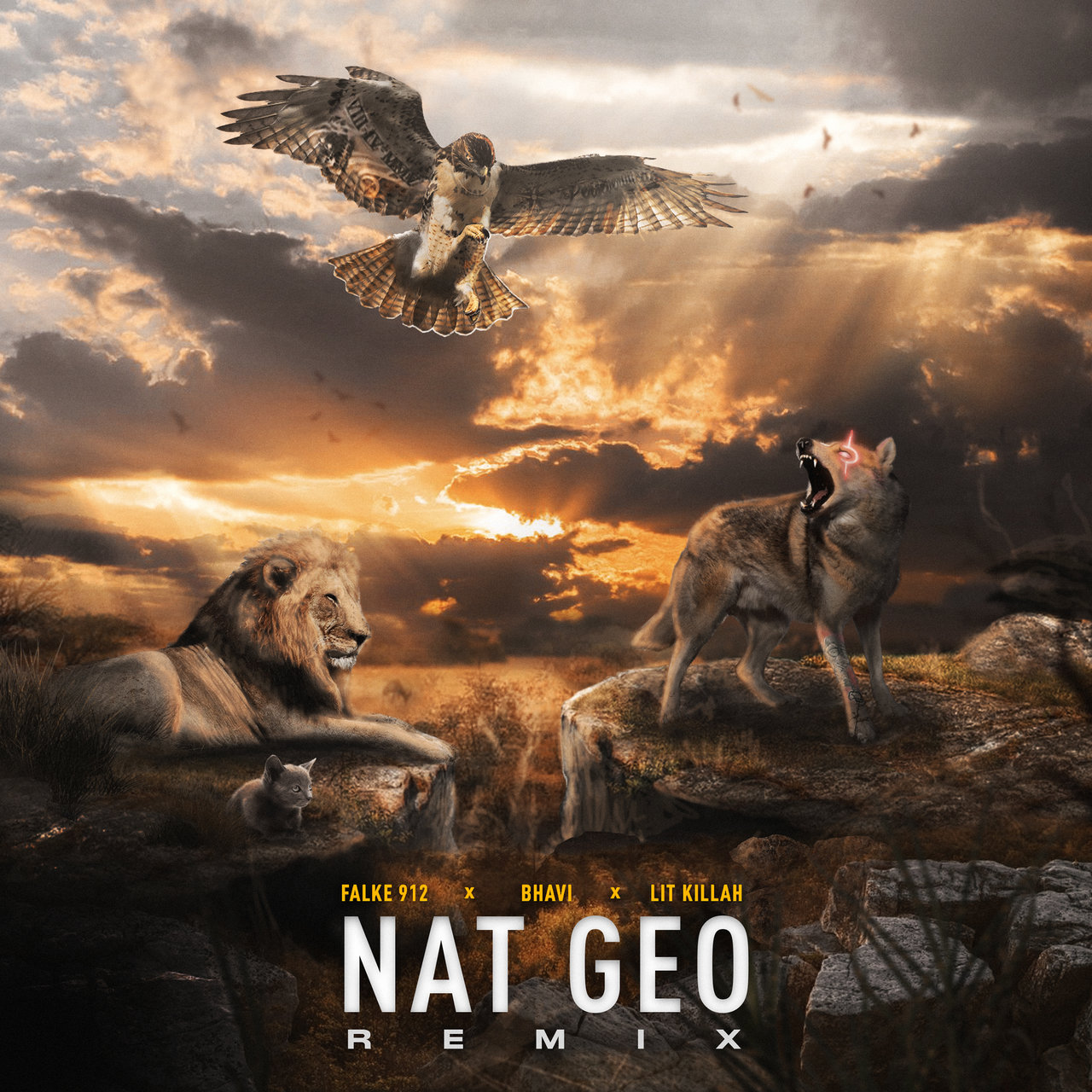 Falke 912 - Nat Geo (Remix) (ft. Bhavi and Lit Killah) (Cover)