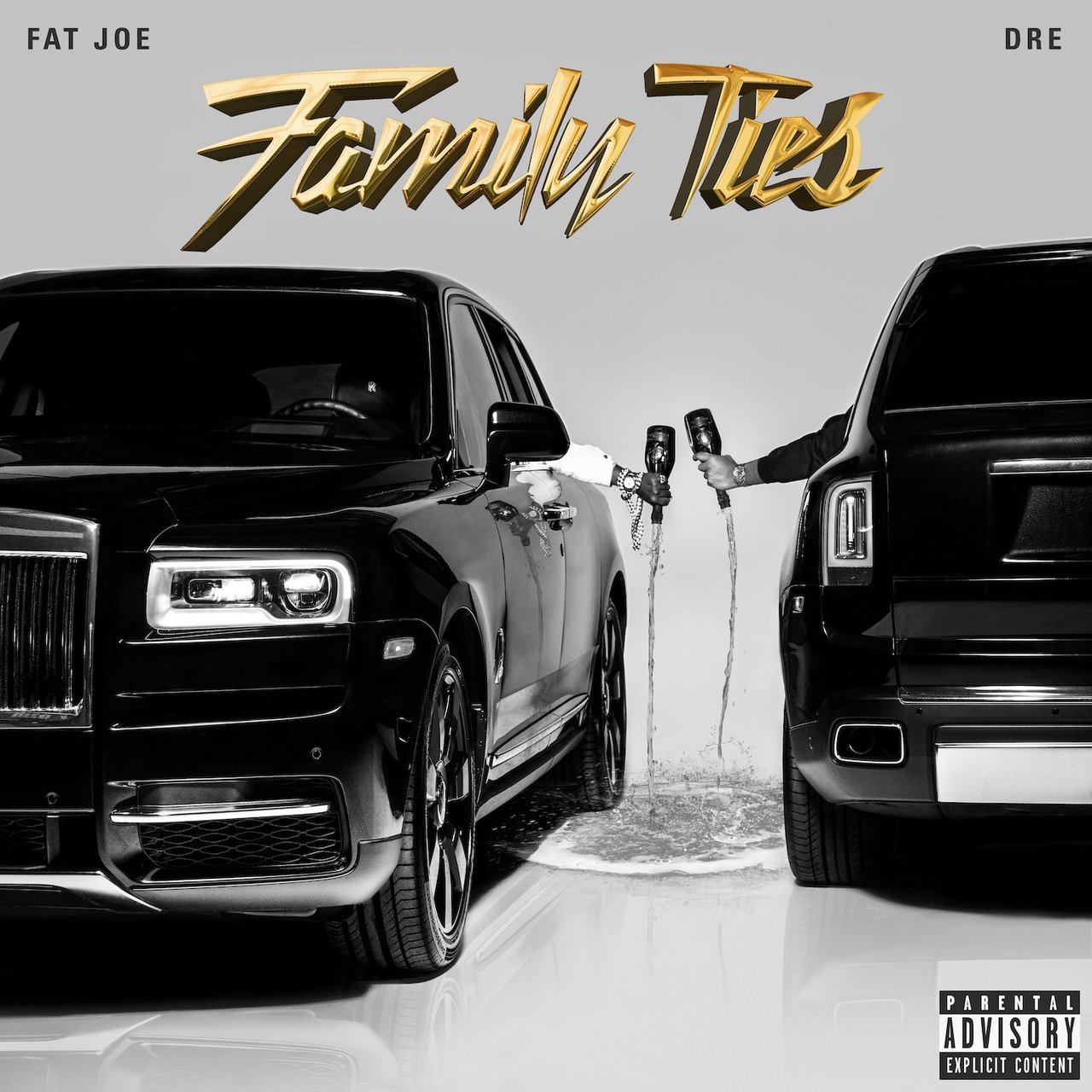 Fat Joe and Dre - Family Ties (Cover)