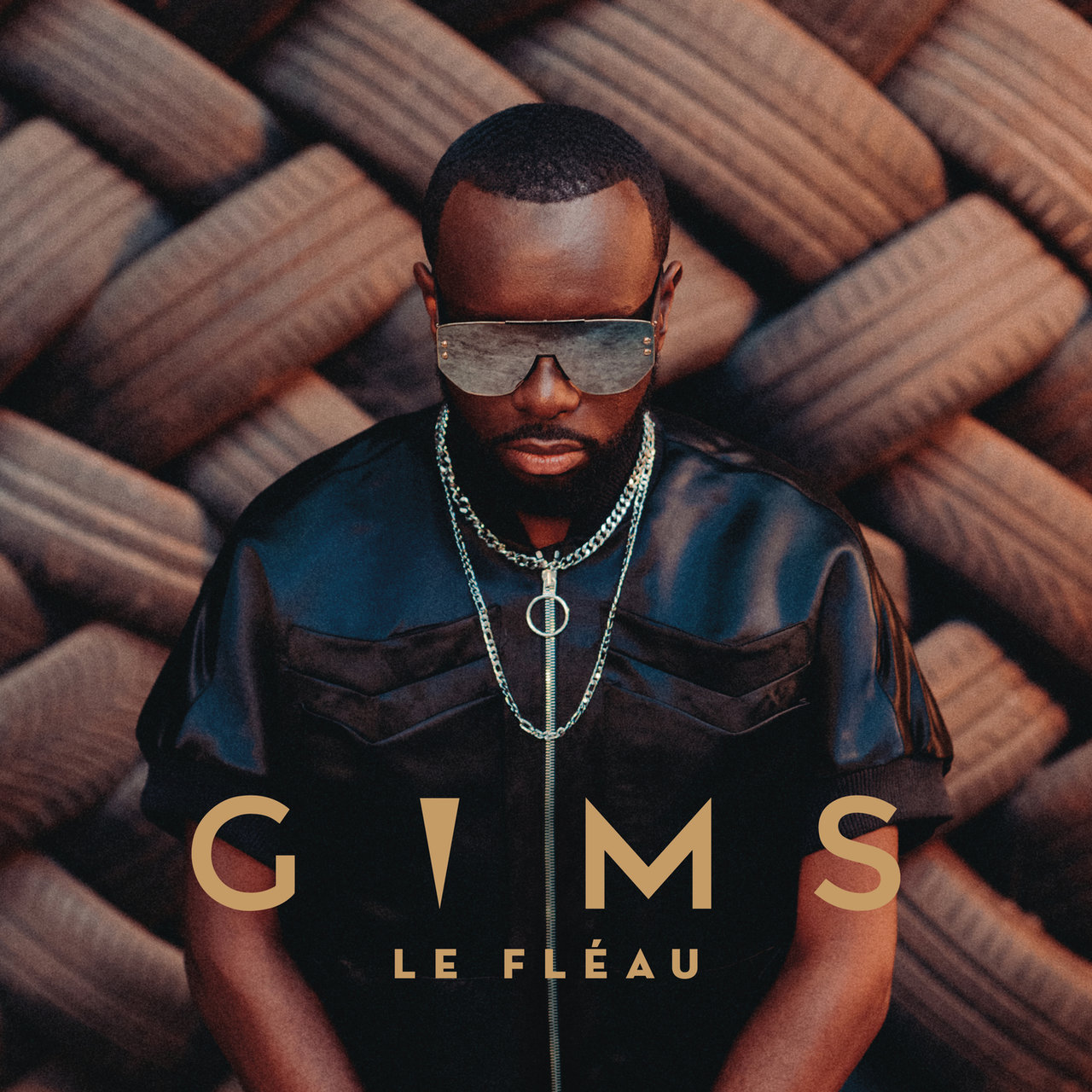 Gims - Le Fléau (Cover)