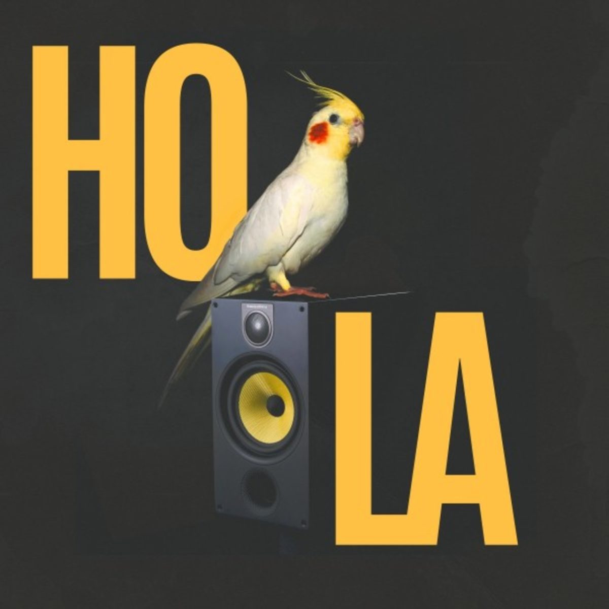 Hola (by Nacho Beatmaker) (Cover)