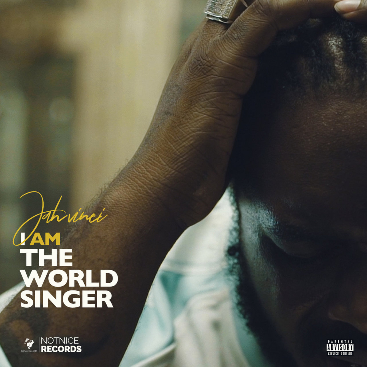 Jah Vinci - I Am The World Singer (Cover)