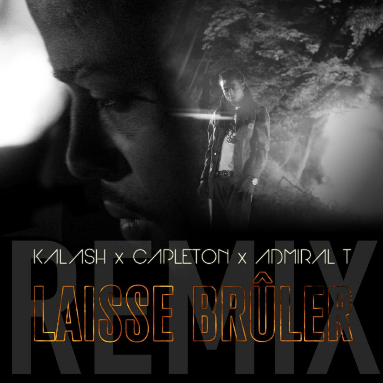 Kalash - Laisse Brûler (Remix) (ft. Capleton and Admiral T) (Cover)