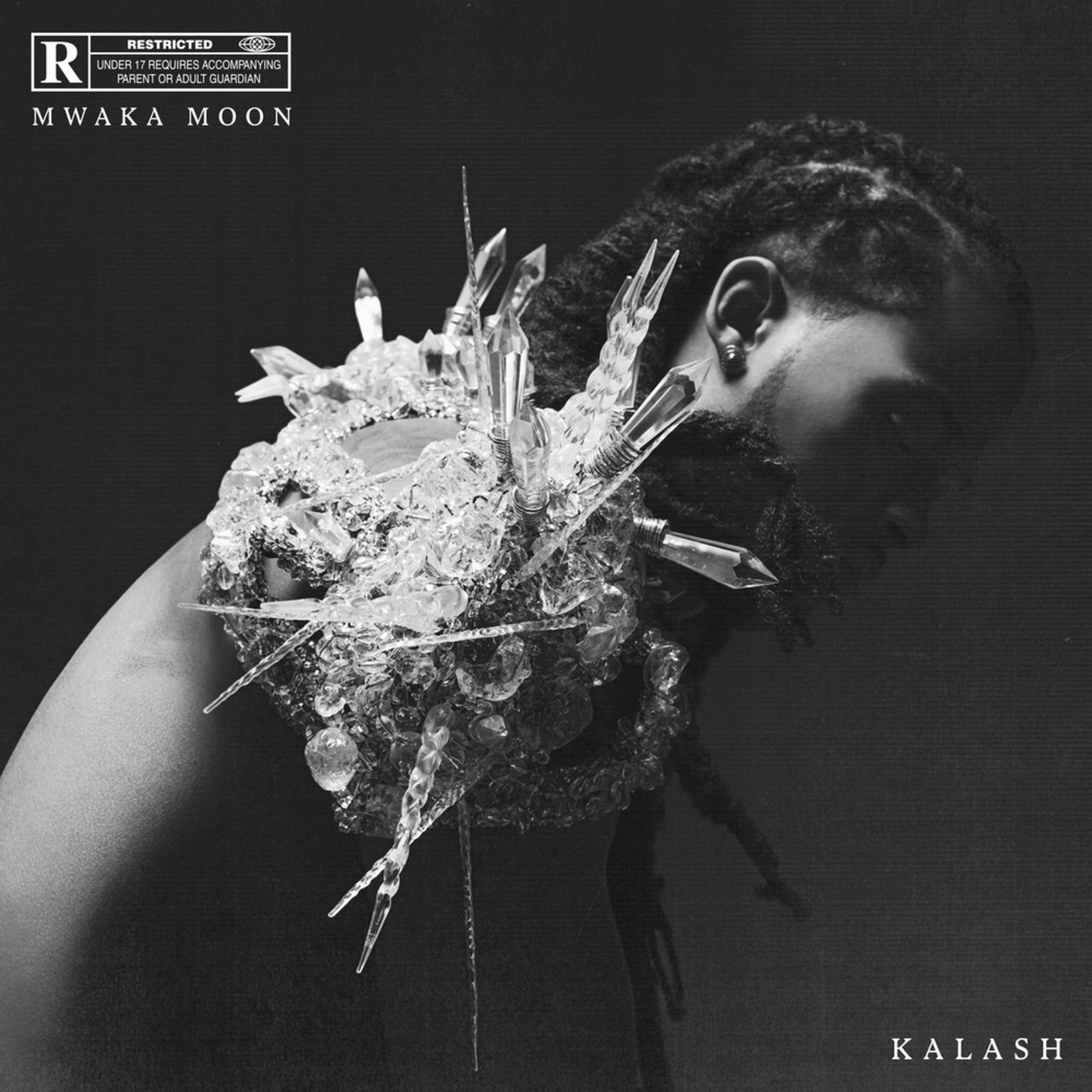 Kalash - Mwaka Moon (Cover)