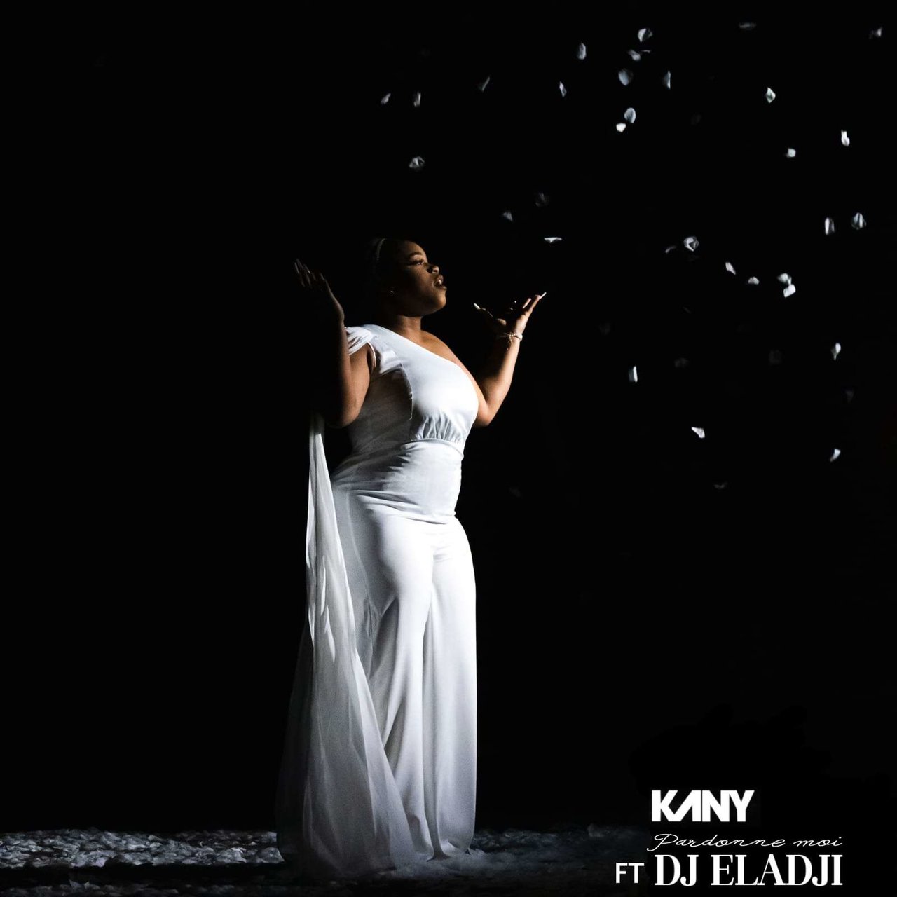 Kany - Pardonne-Moi (ft. DJ Eladji) (Cover)