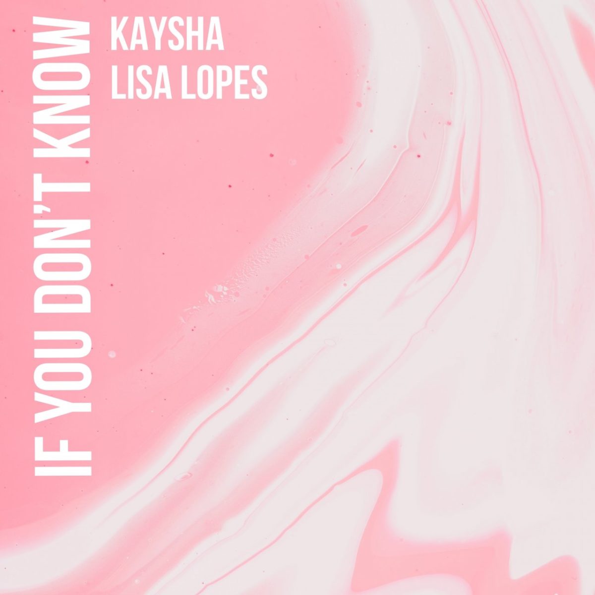 Kaysha - If You Don't Know (ft. Lisa Lopes) (Cover)