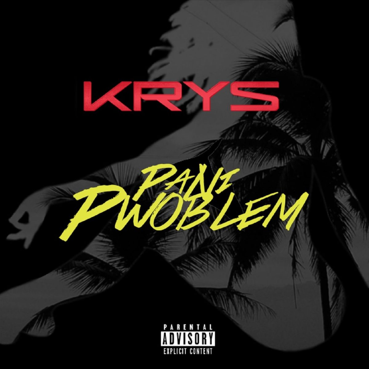 Krys - Pa Ni Pwoblem (Cover)