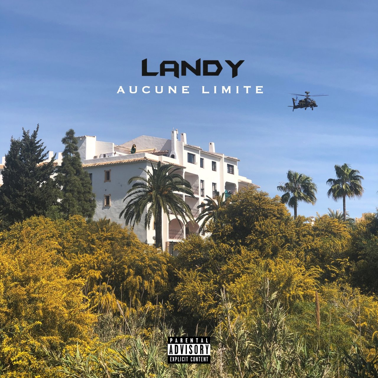 Landy - Aucune Limite (Cover)