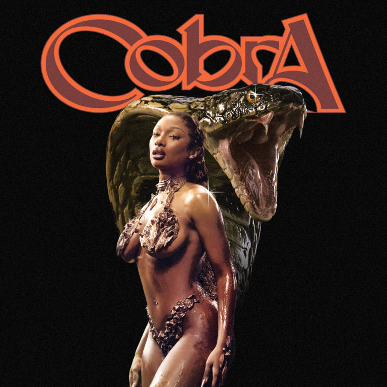 Megan Thee Stallion - Cobra (Cover)