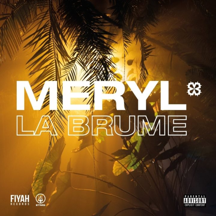 Meryl - La Brume (ft. Le Motif) (Cover)