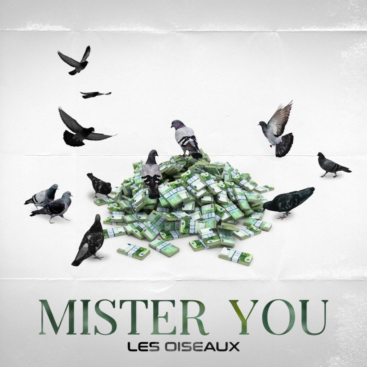 Mister You - Les Oiseaux (Cover)