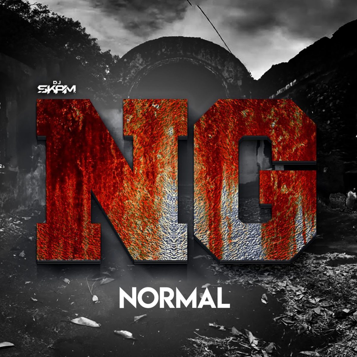 NG and DJ Skam - Normal (Cover)
