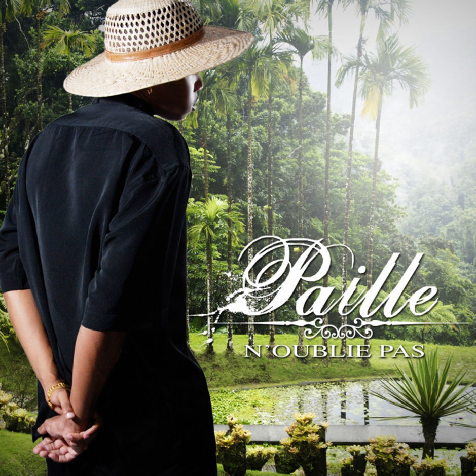 Paille - N'oublie Pas (Cover)