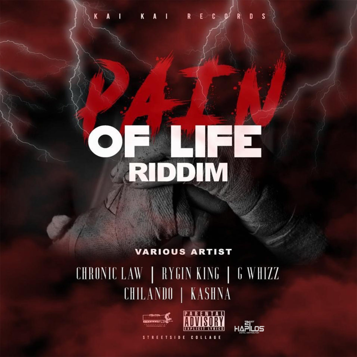 Pain Of Life Riddim (Cover)