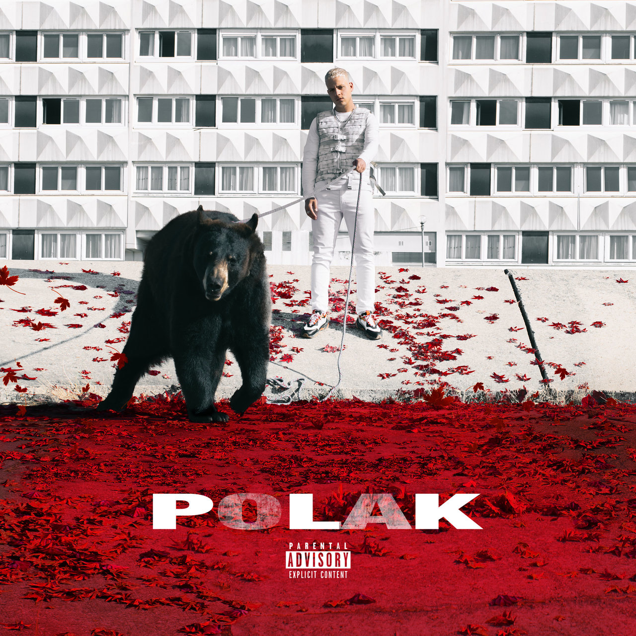 PLK - Polak (Cover)
