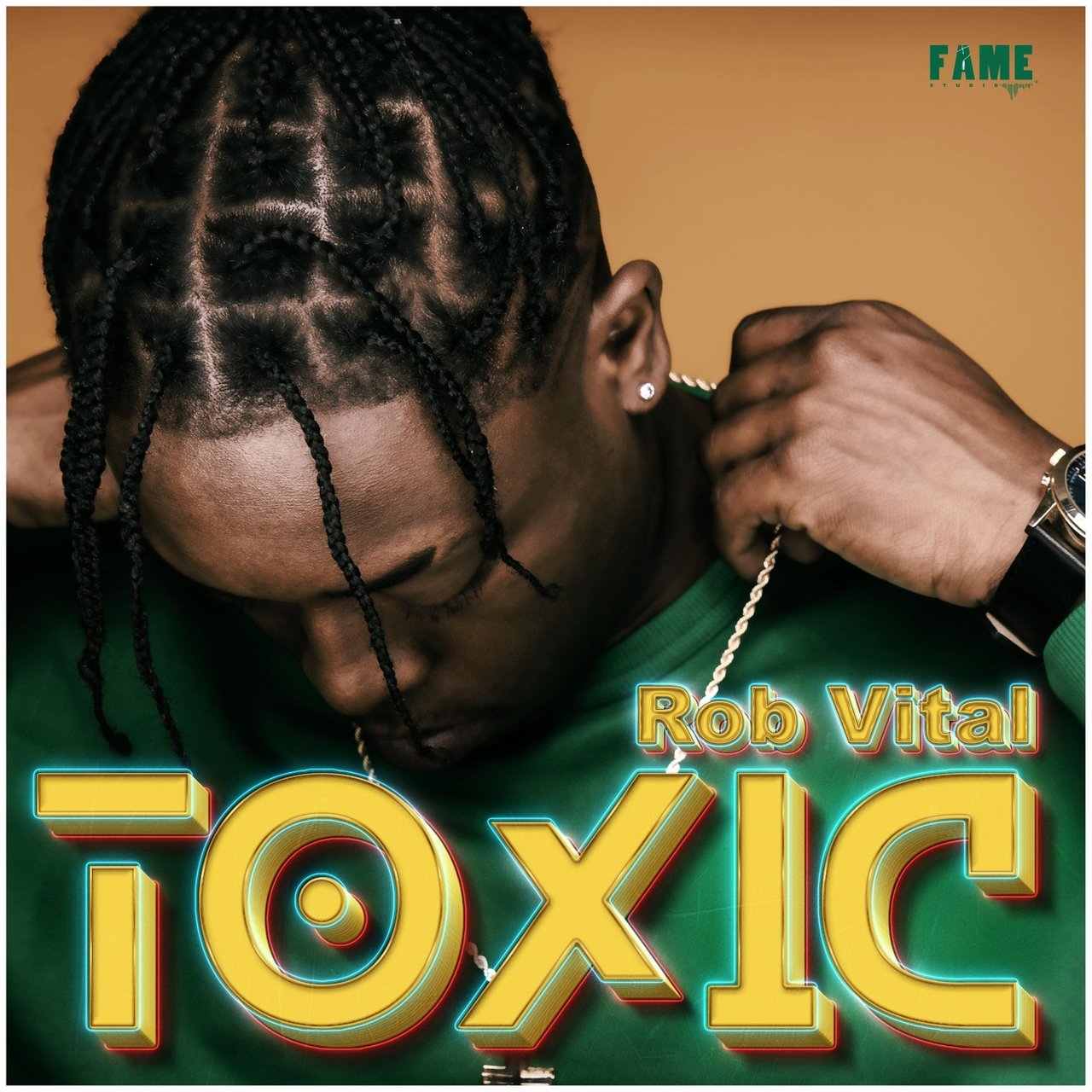 Rob Vital - Toxic (Cover)