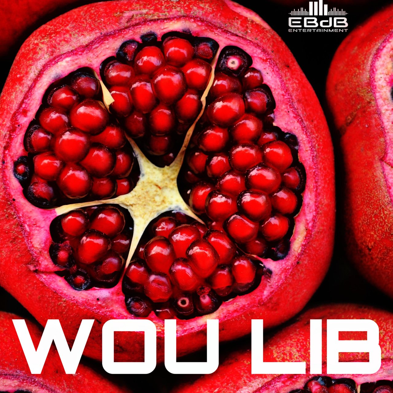 Saïk - Wou Lib (Cover)