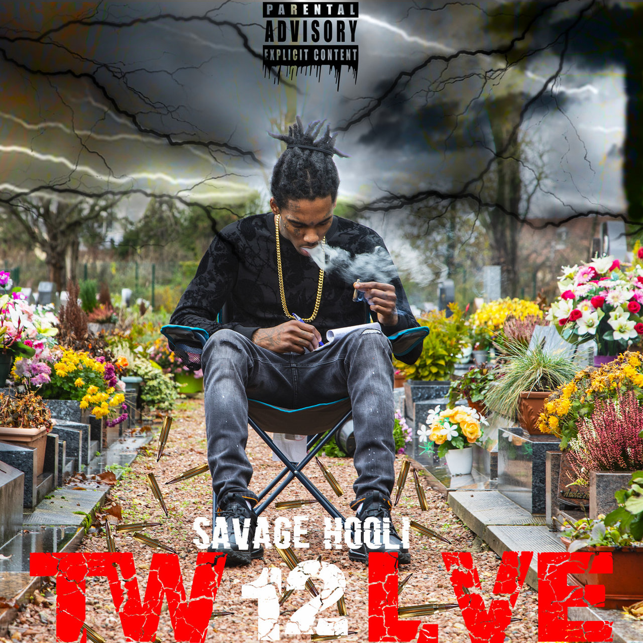 Savage Hooli - Tw12lve (Cover)