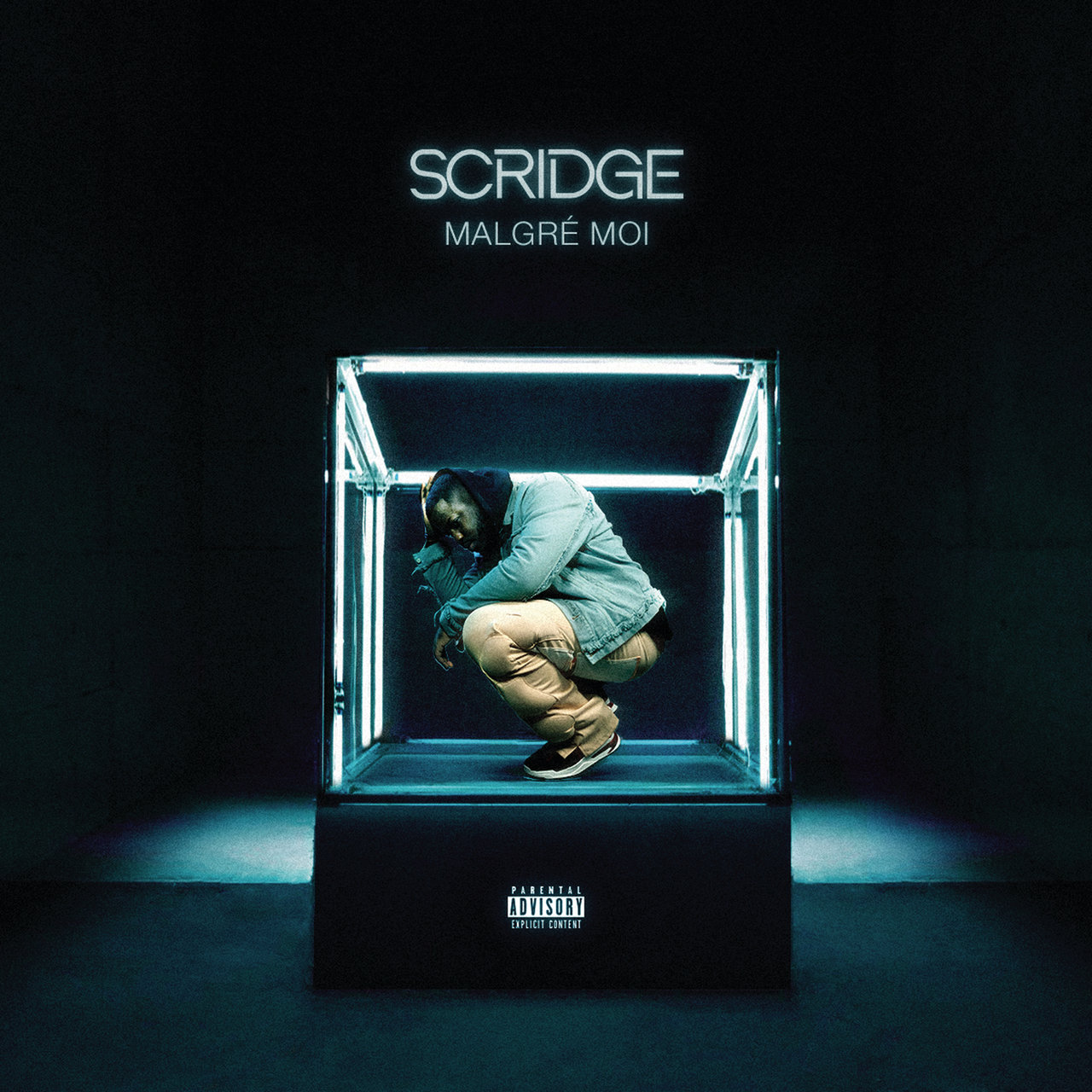 Scridge - Malgré Moi (Cover)