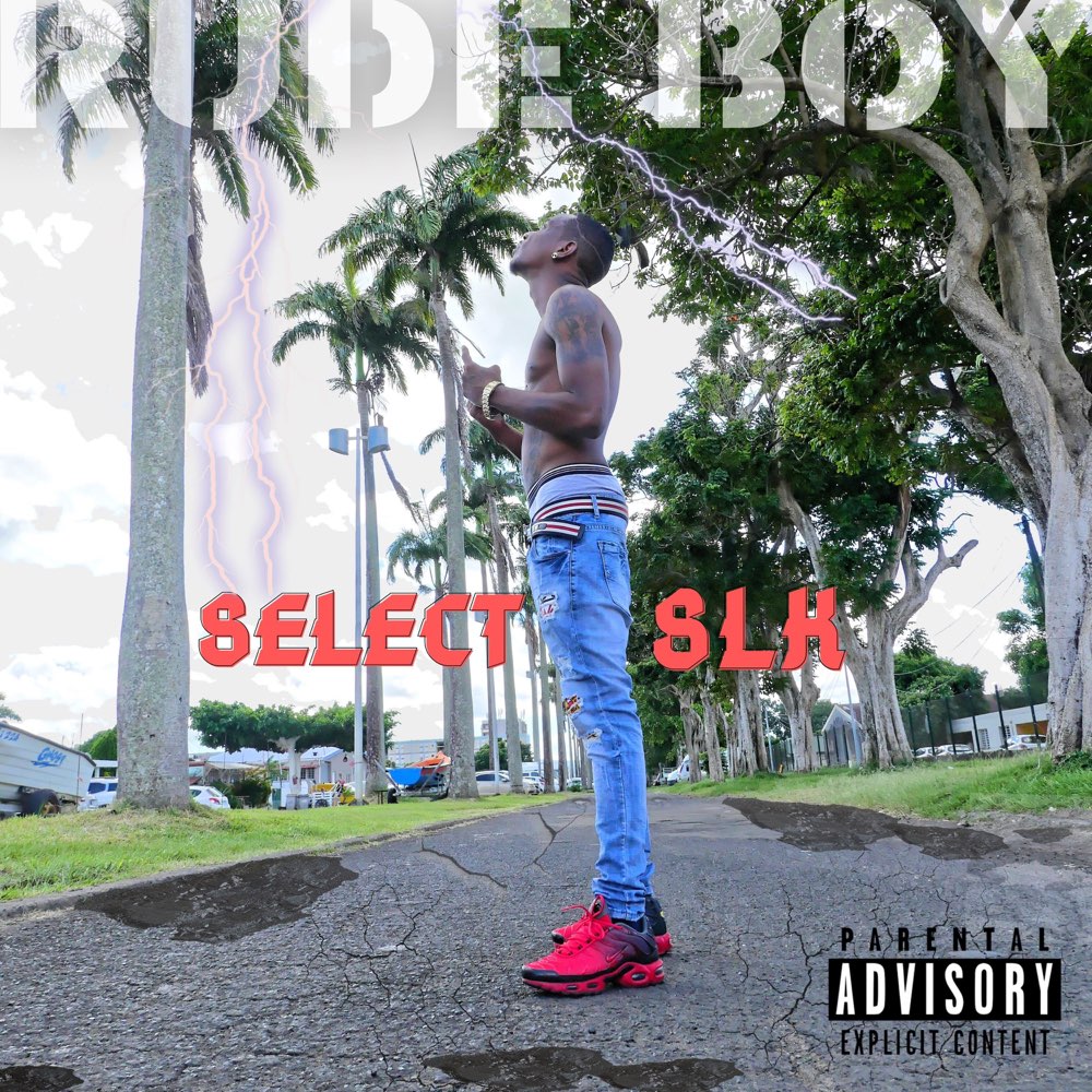 Select SLK - Rude Boy (Cover)