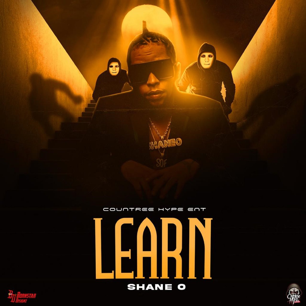 Shane O - Learn (Cover)