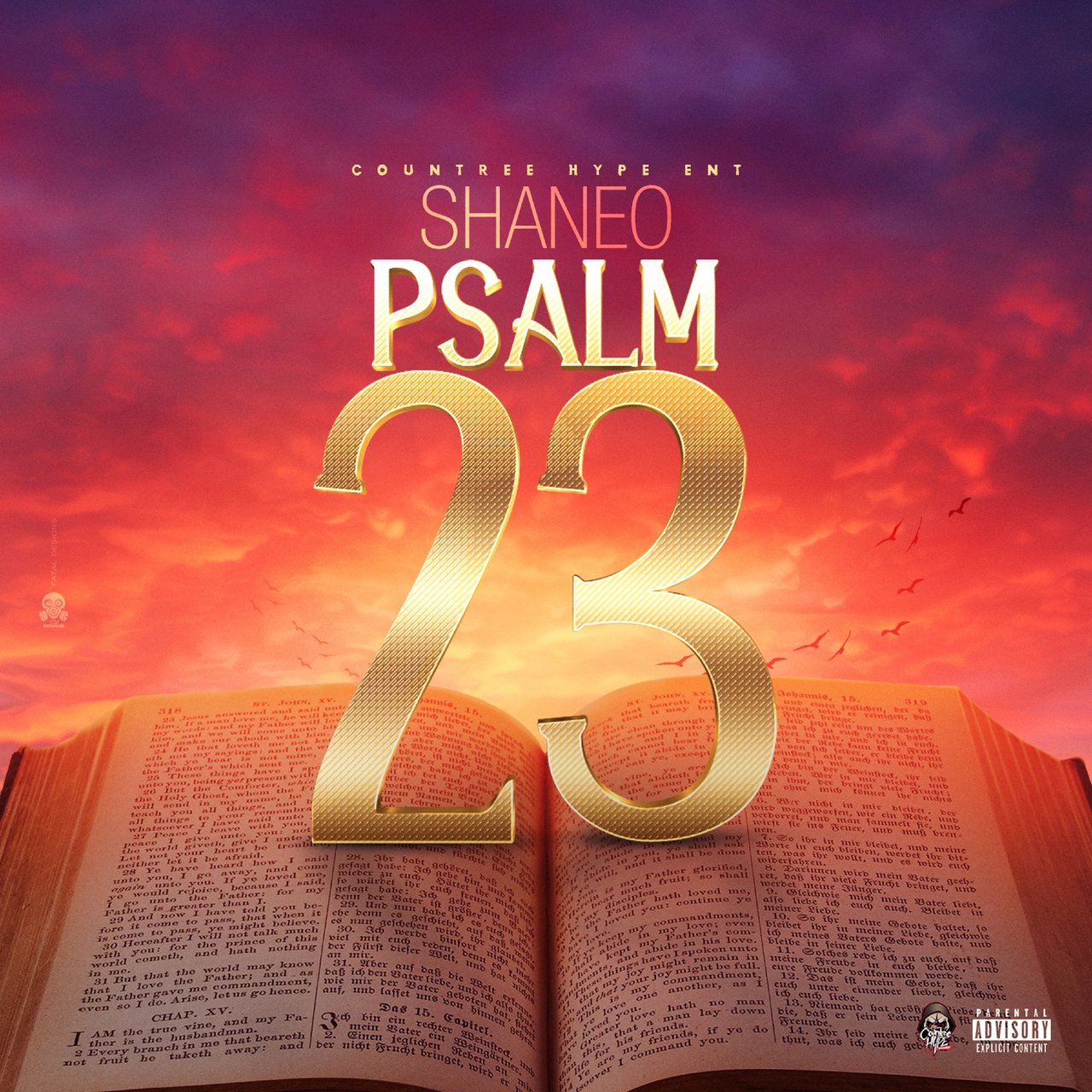 Shane O - Psalm 23 (Cover)