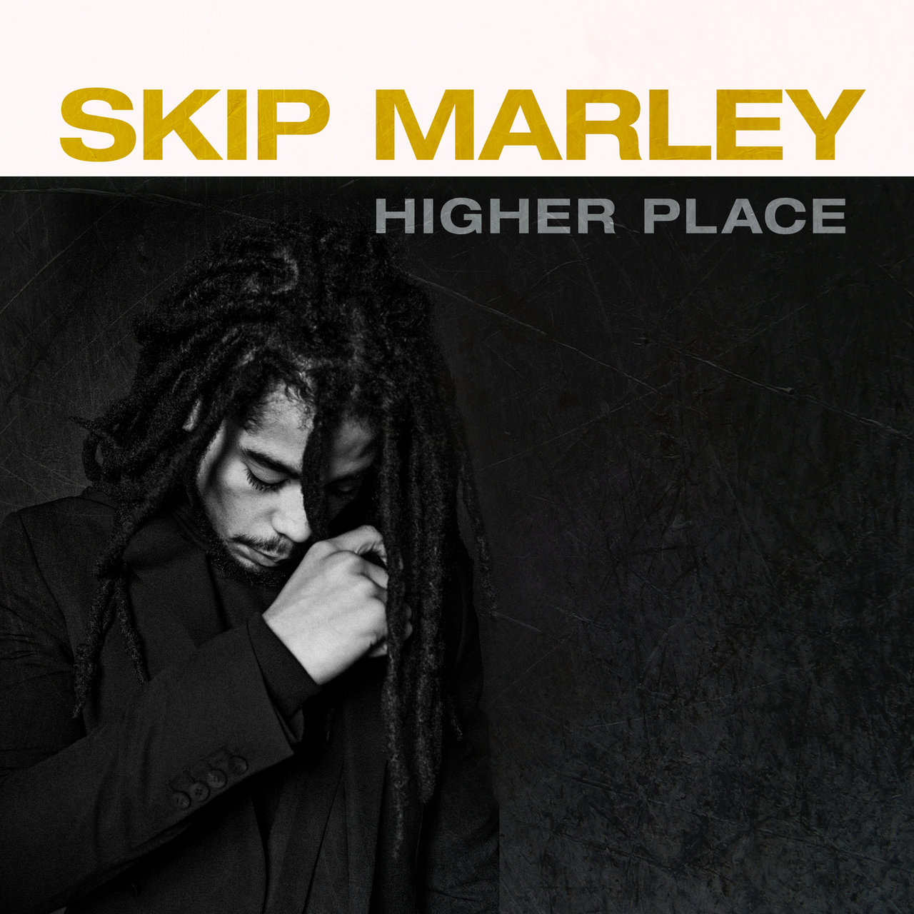 Skip Marley - Higher Place (Cover)