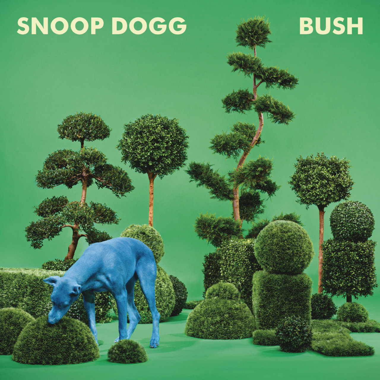 Snoop Dogg - Bush (Cover)