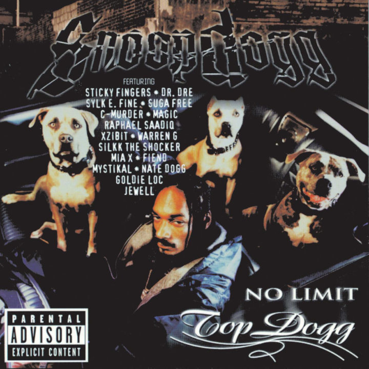 Snoop Dogg - No Limit Top Dogg (Cover)