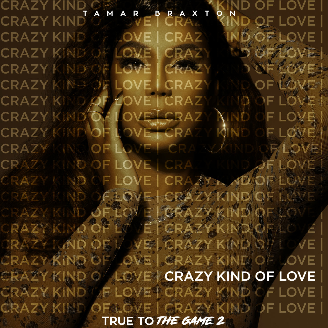 Tamar Braxton - Crazy Kind Of Love (Cover)