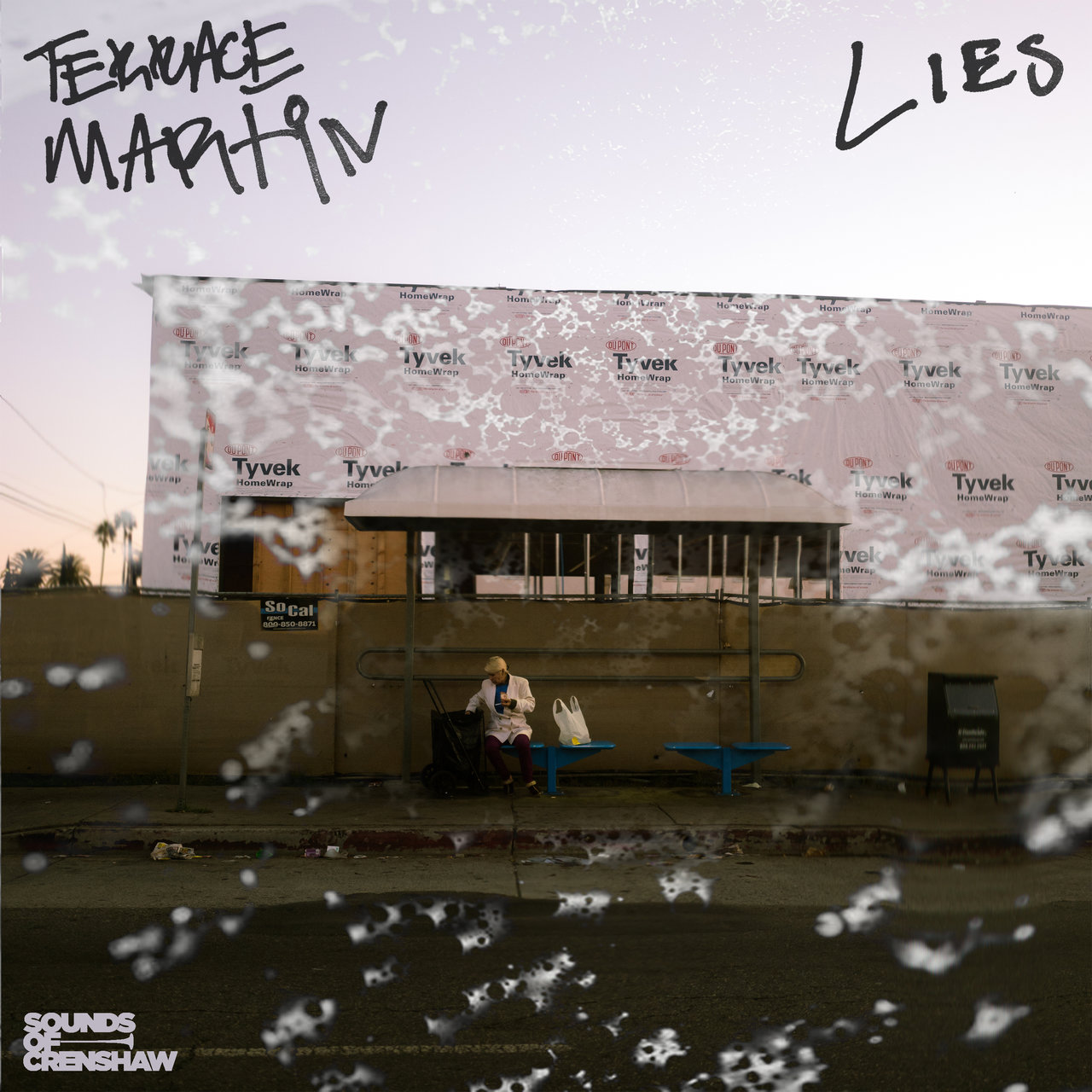 Terrace Martin - Lies (Cover)