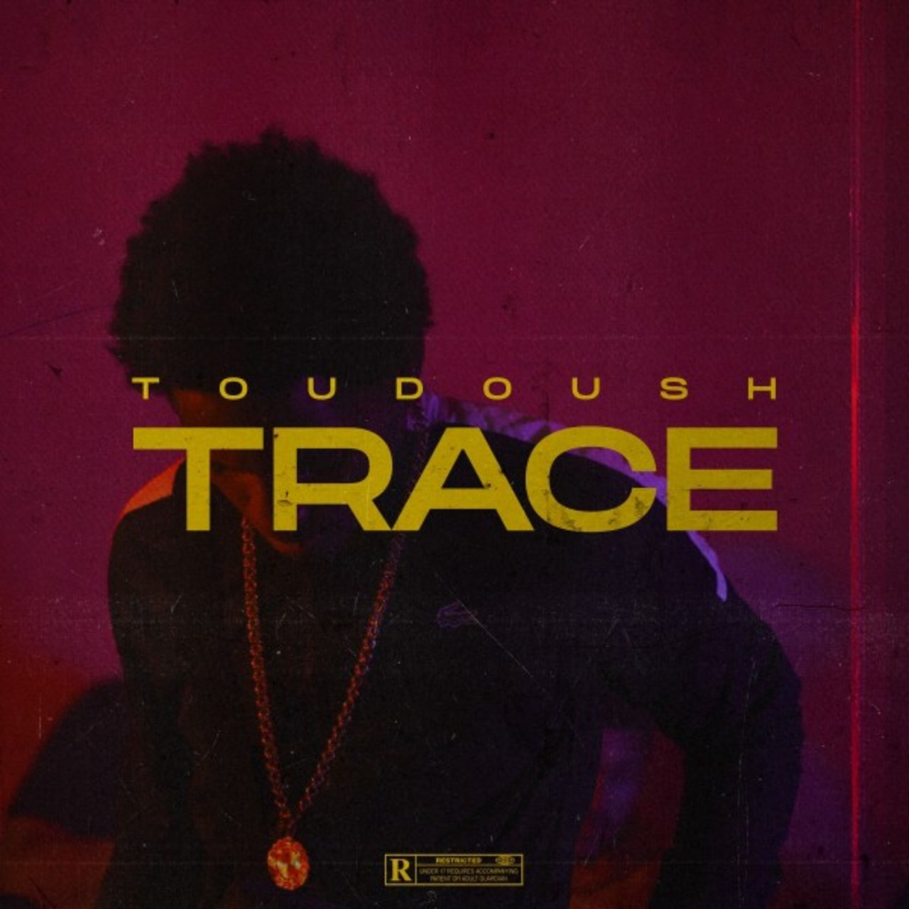 Toudoush - Trace (Cover)
